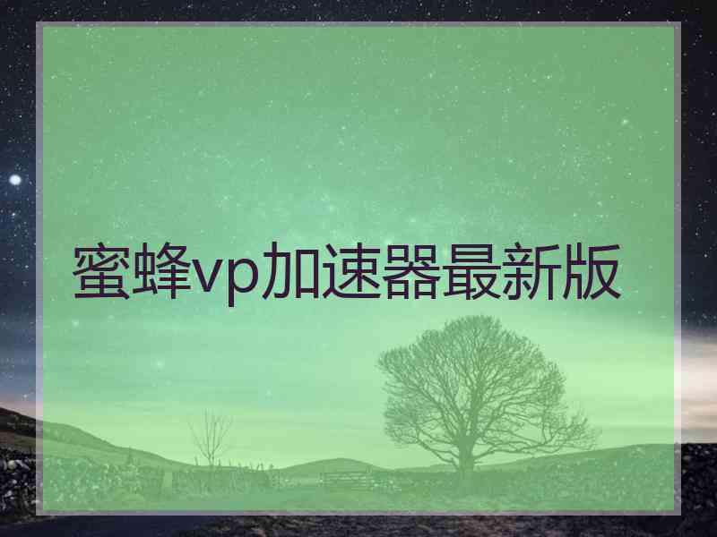 蜜蜂vp加速器最新版