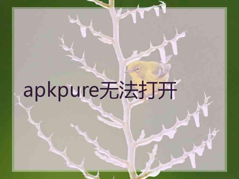 apkpure无法打开