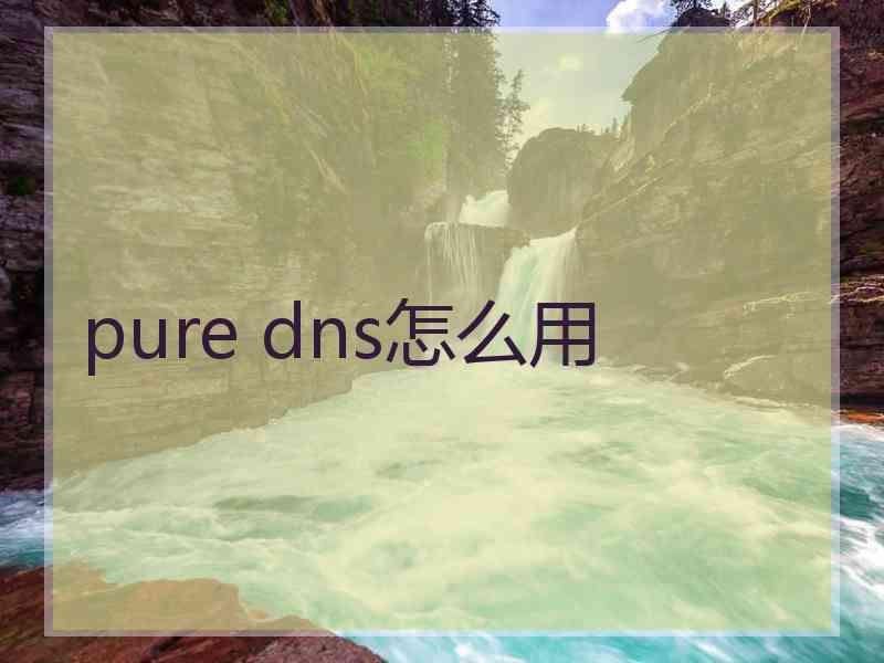 pure dns怎么用