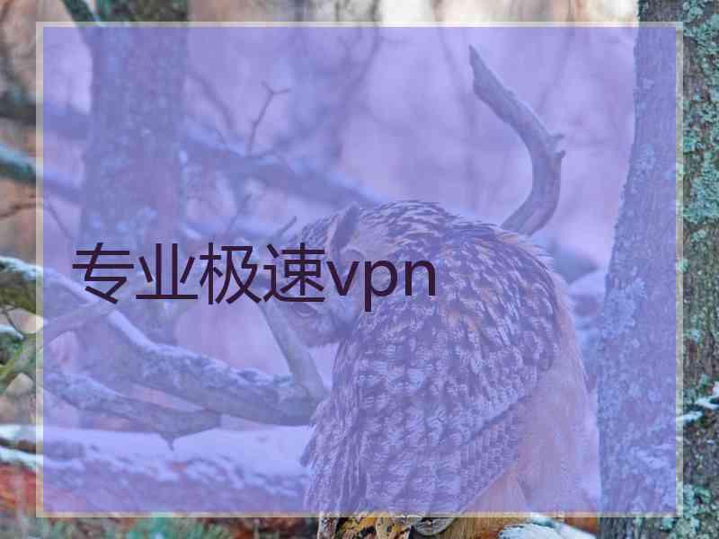 专业极速vpn