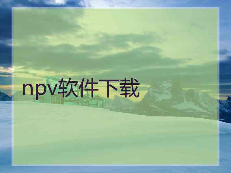 npv软件下载