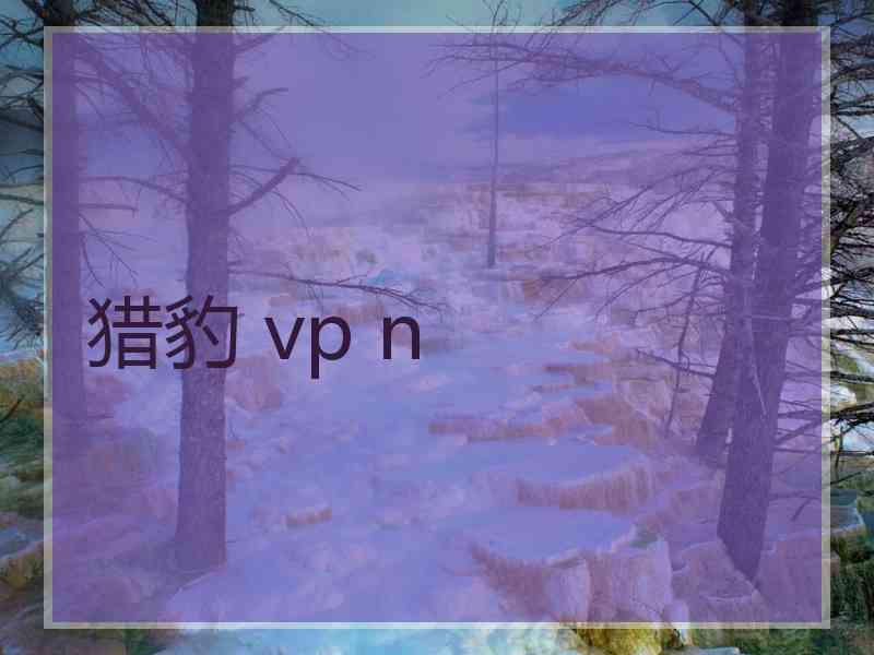 猎豹 vp n