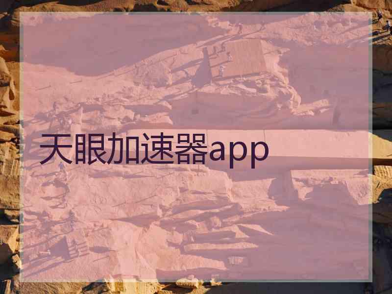 天眼加速器app