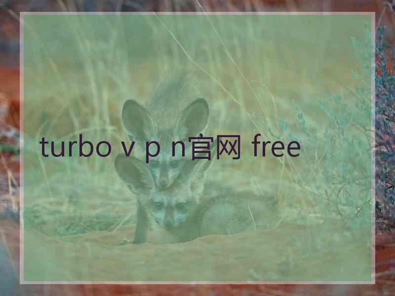 turbo v p n官网 free