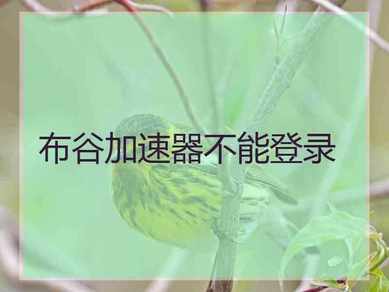 布谷加速器不能登录