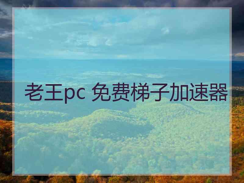 老王pc 免费梯子加速器