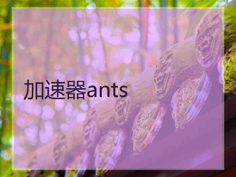 加速器ants