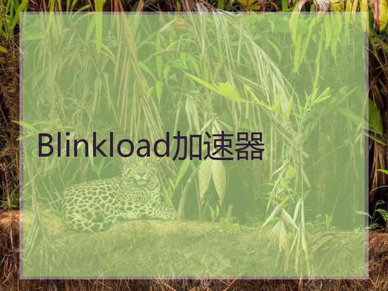 Blinkload加速器