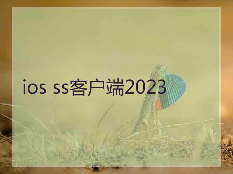 ios ss客户端2023