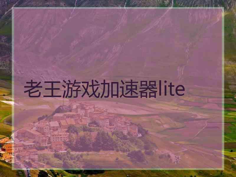 老王游戏加速器lite