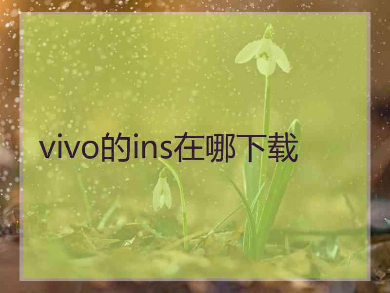 vivo的ins在哪下载