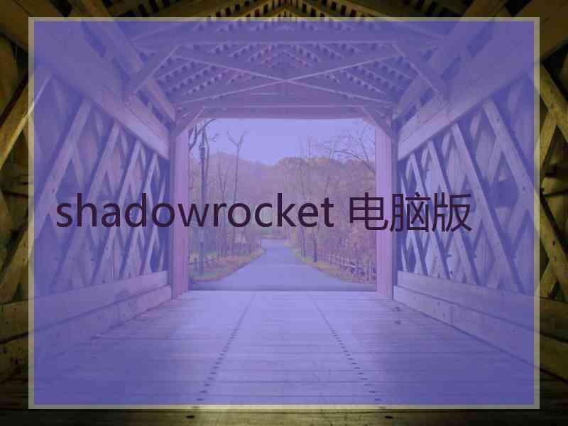 shadowrocket 电脑版