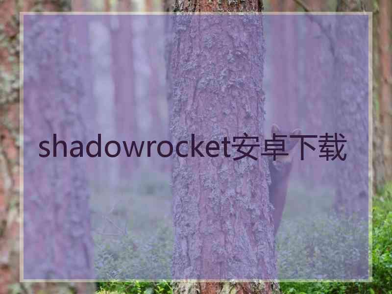 shadowrocket安卓下载