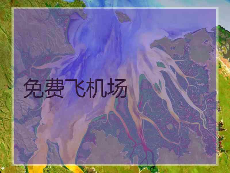 免费飞机场