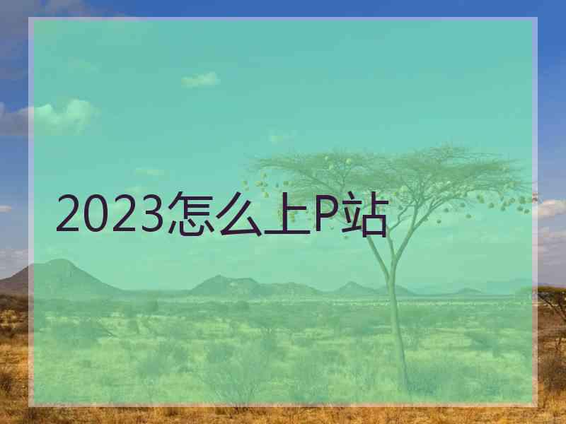 2023怎么上P站