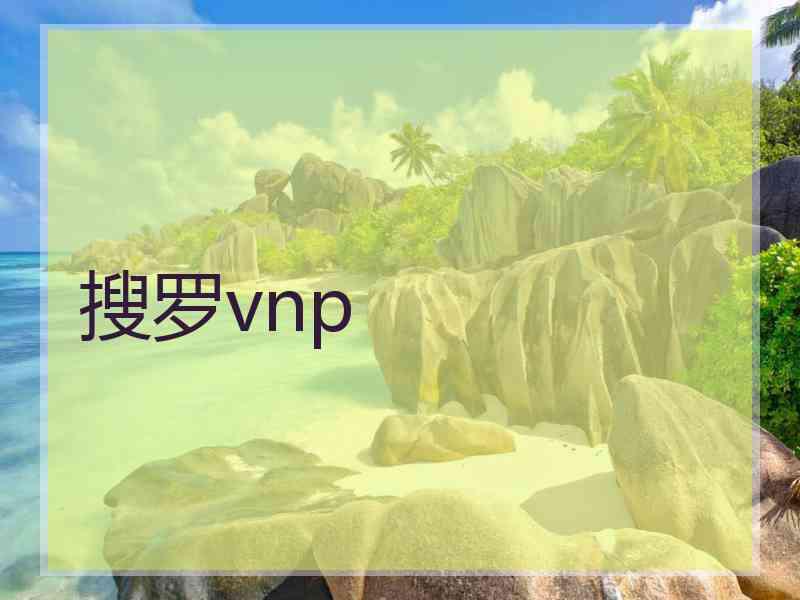 搜罗vnp