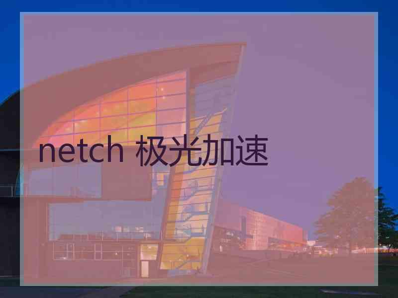 netch 极光加速