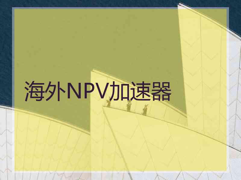 海外NPV加速器