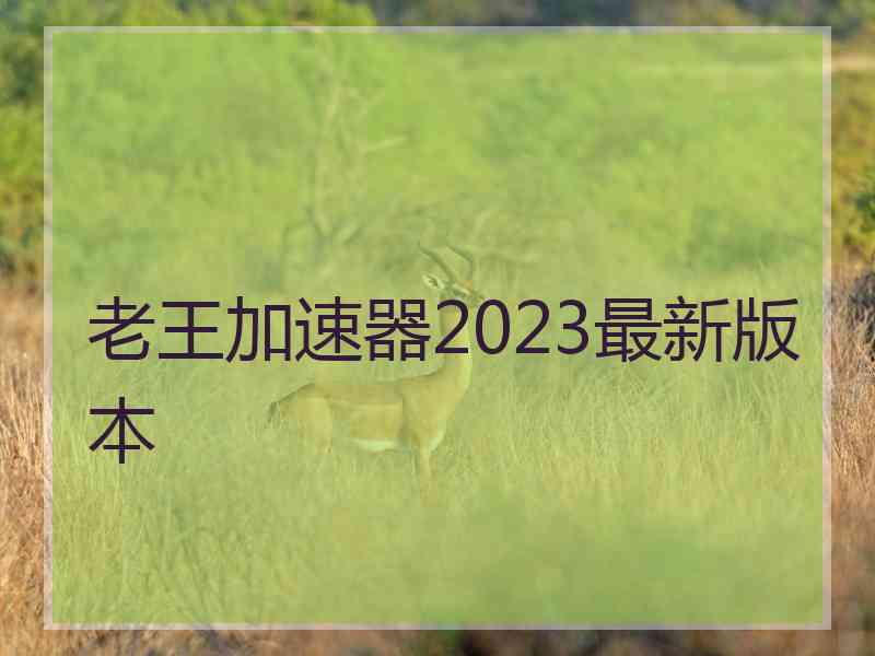 老王加速器2023最新版本