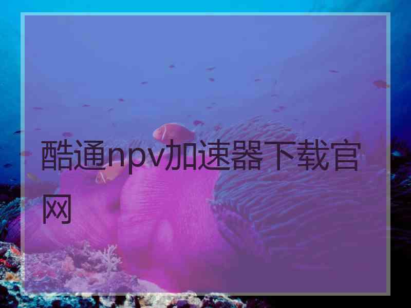 酷通npv加速器下载官网