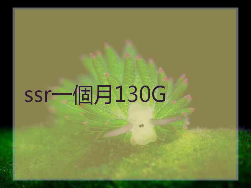 ssr一個月130G