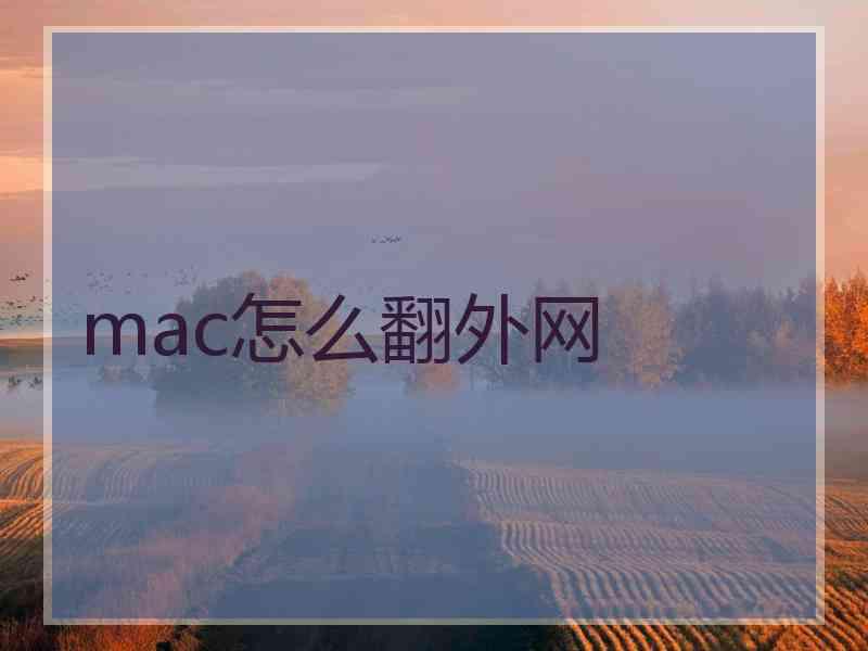 mac怎么翻外网