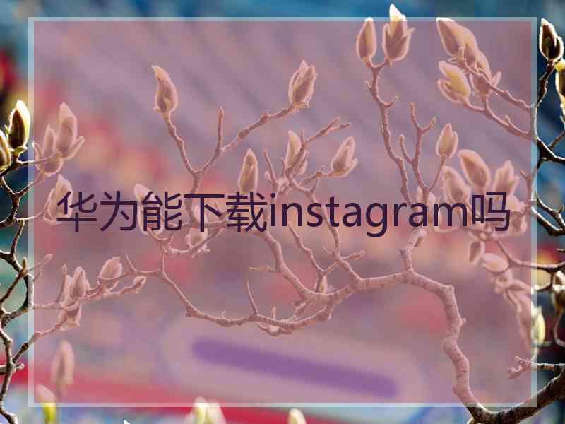 华为能下载instagram吗