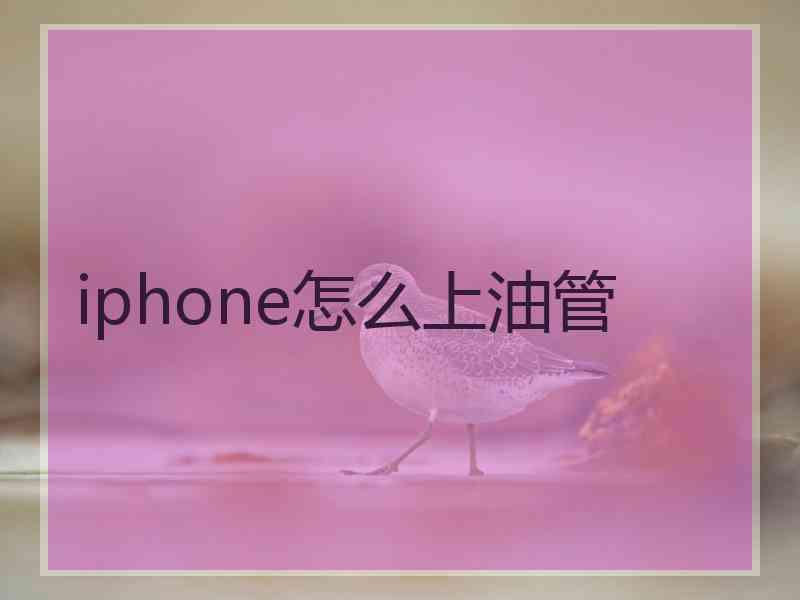 iphone怎么上油管