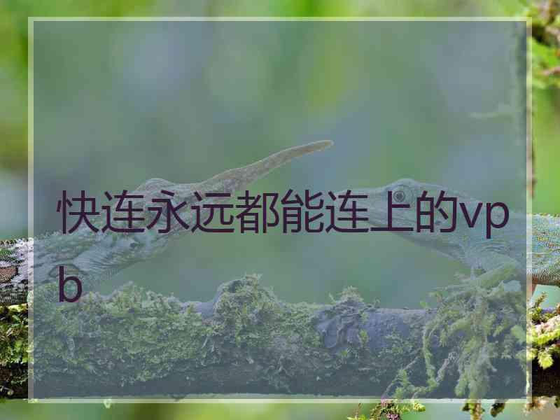 快连永远都能连上的vpb