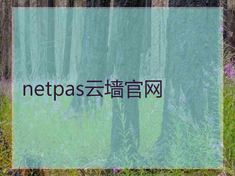 netpas云墙官网