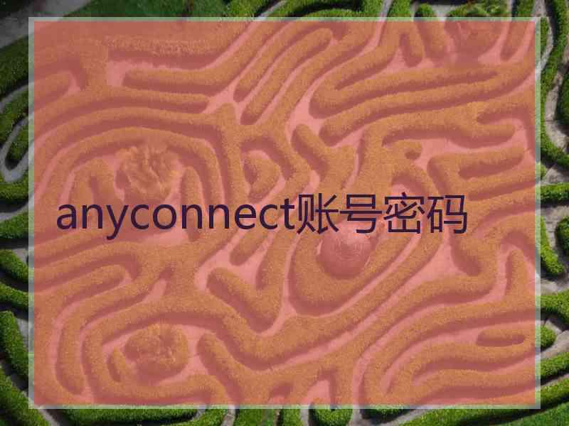 anyconnect账号密码