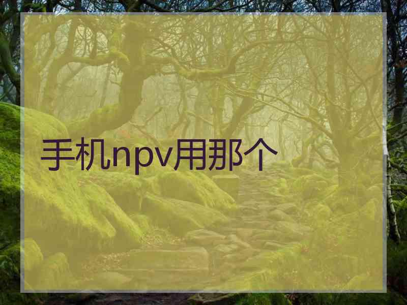 手机npv用那个