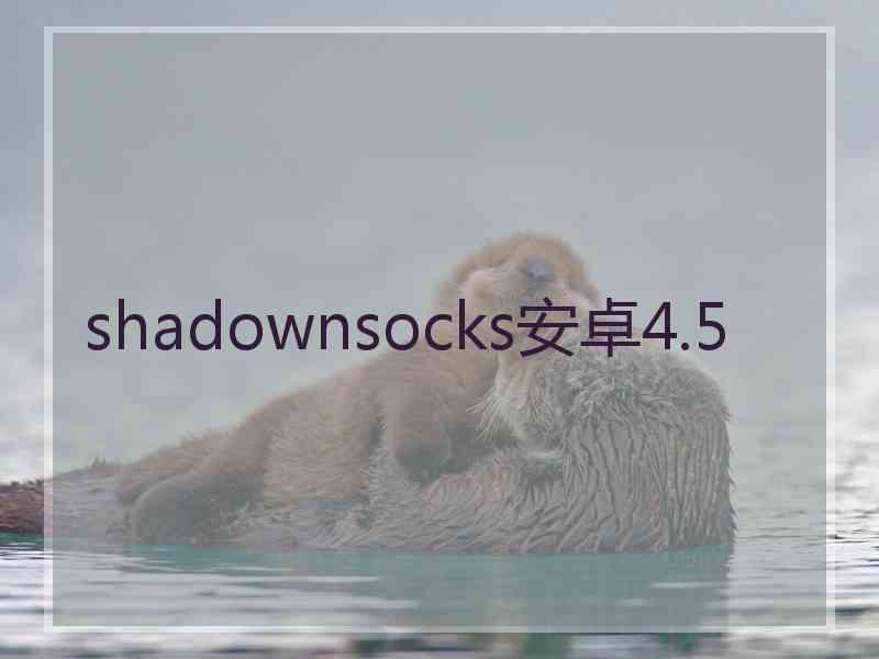 shadownsocks安卓4.5