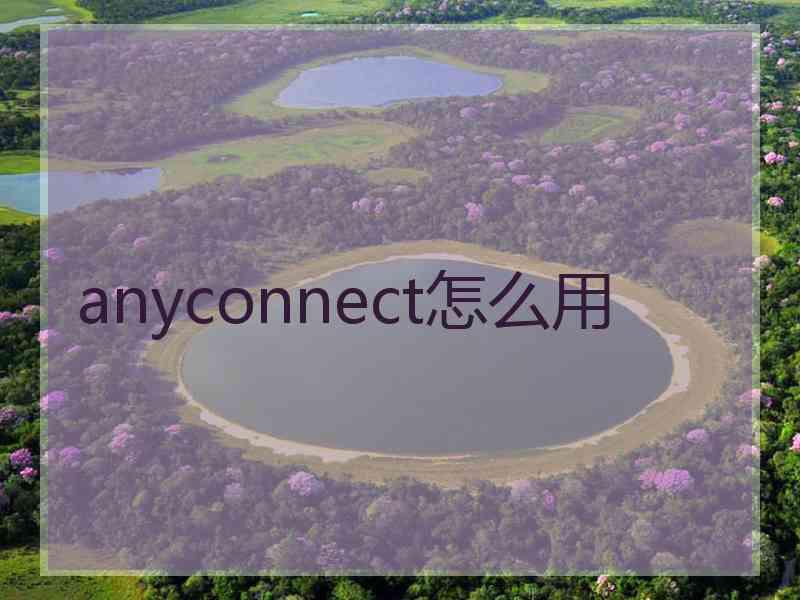 anyconnect怎么用