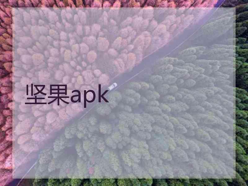 坚果apk