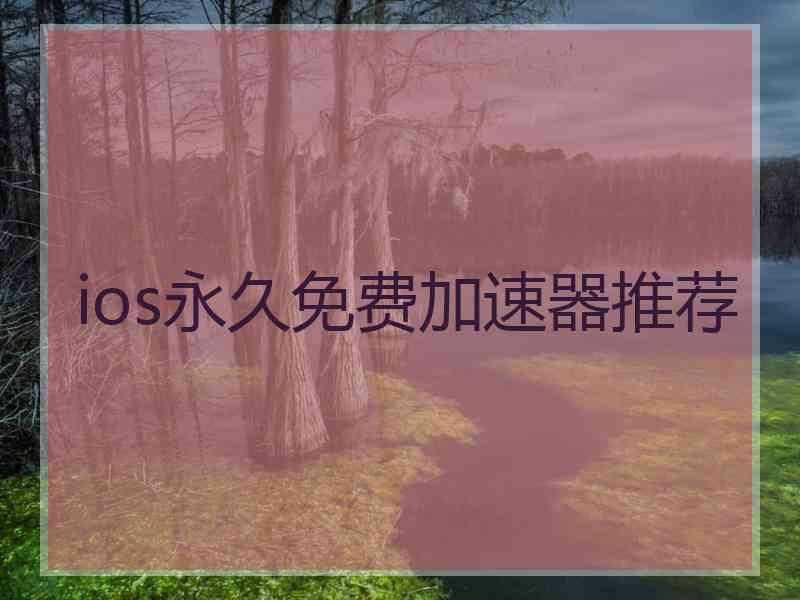 ios永久免费加速器推荐