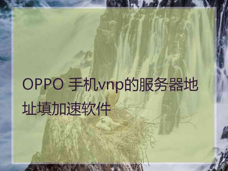 OPPO 手机vnp的服务器地址填加速软件