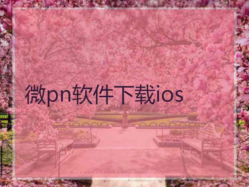 微pn软件下载ios