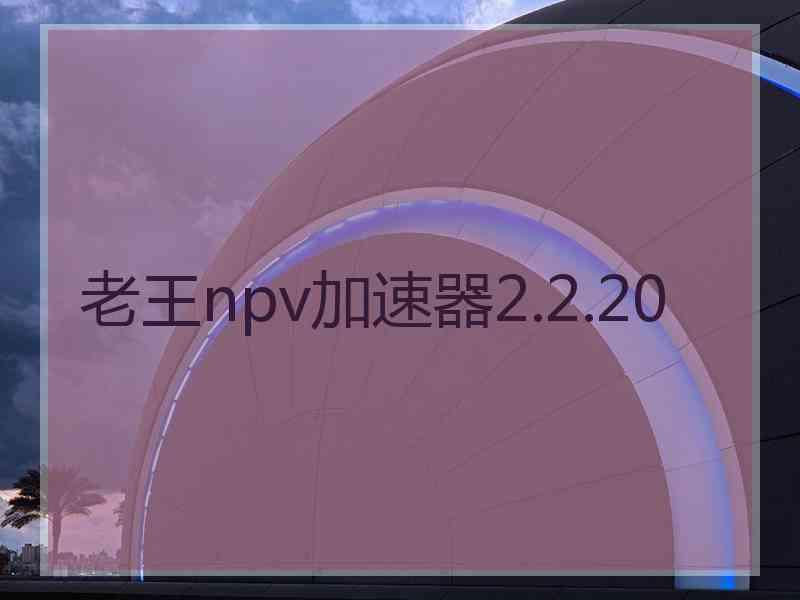 老王npv加速器2.2.20