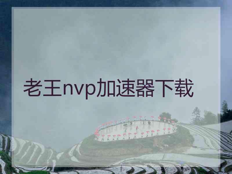 老王nvp加速器下载