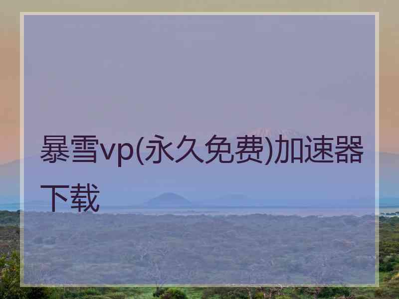 暴雪vp(永久免费)加速器下载