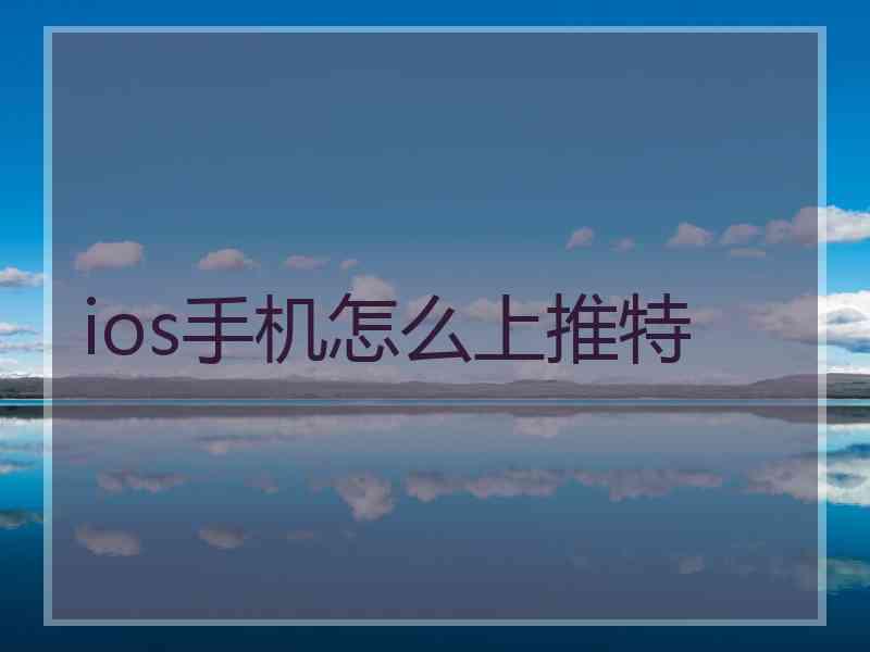 ios手机怎么上推特