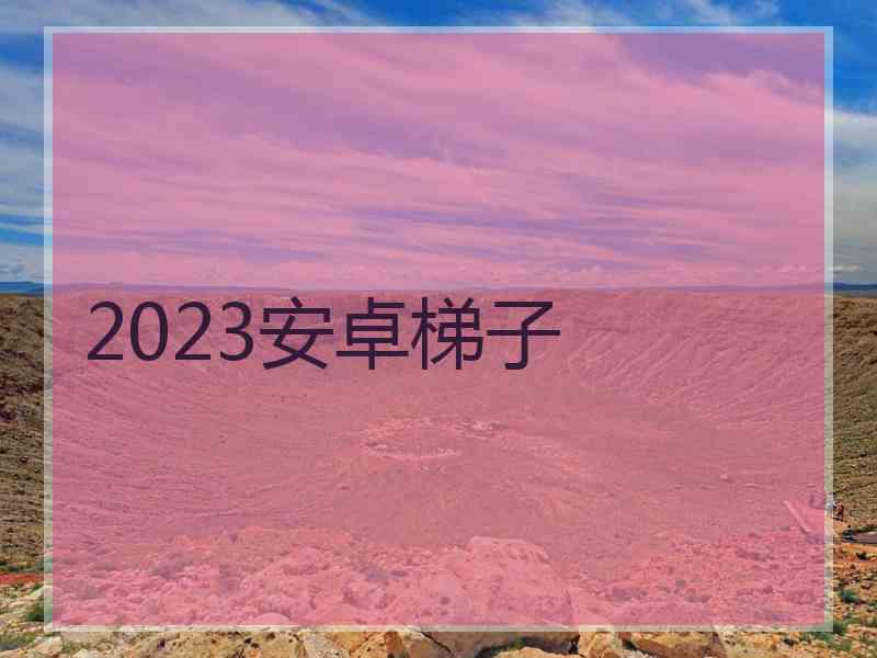 2023安卓梯子