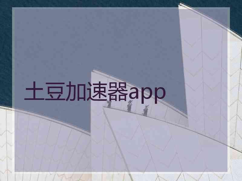 土豆加速器app