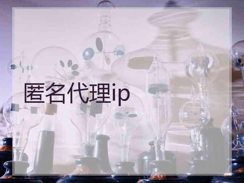 匿名代理ip