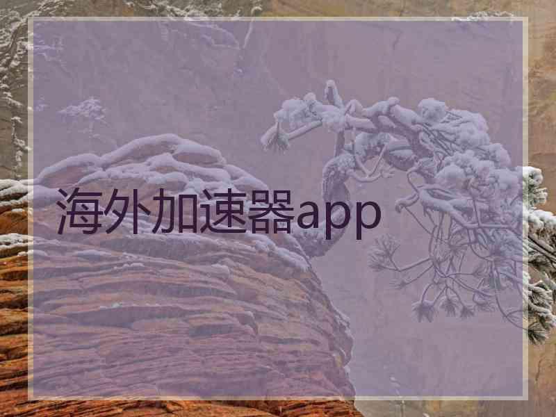 海外加速器app