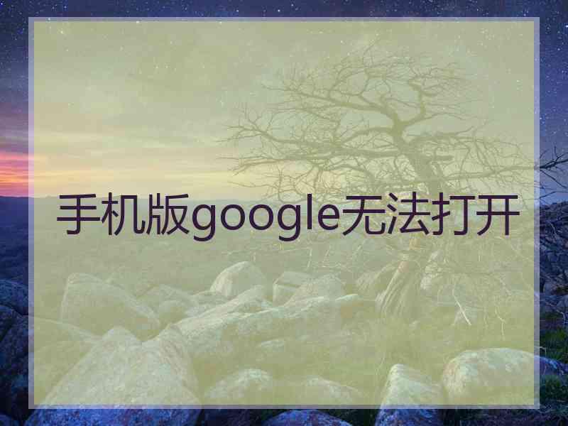 手机版google无法打开