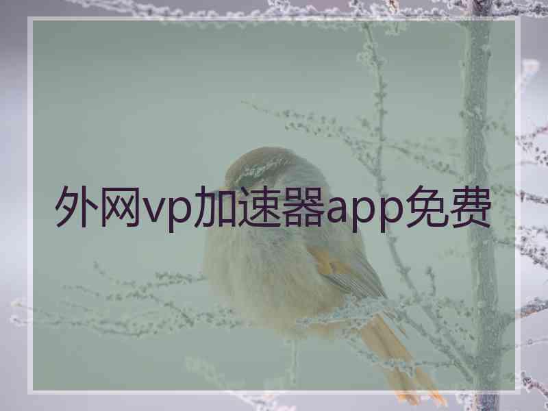 外网vp加速器app免费