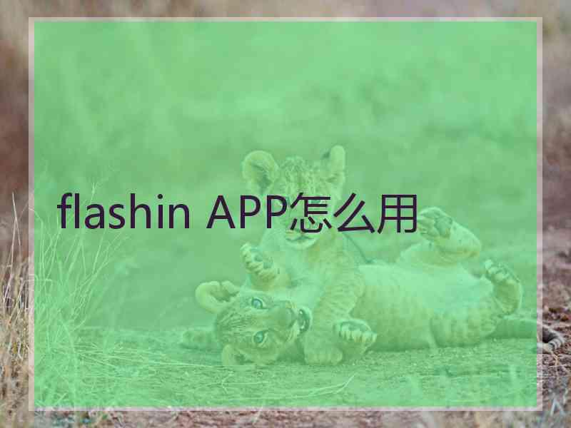 flashin APP怎么用