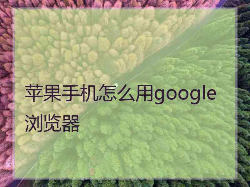 苹果手机怎么用google浏览器